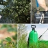 9 Zasad, które należy zaobserwować podczas przetwarzania roślin z pestycydami
